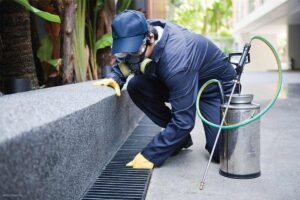 technician spraying for a pest control treatment outside