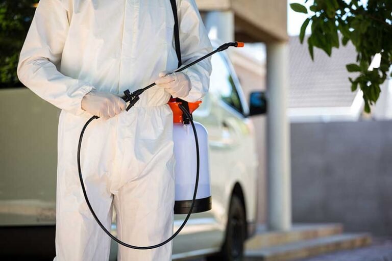 technician spraying for a pest control treatments