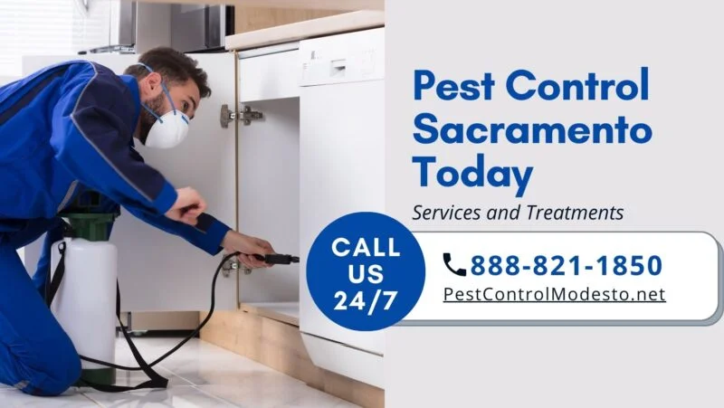 Pest-Control-Sacramento-Today-FB-Image