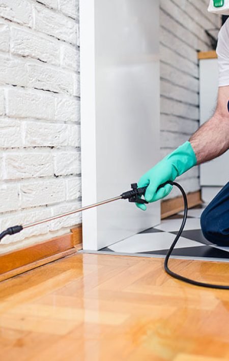 technician undertaking a pest control treatment