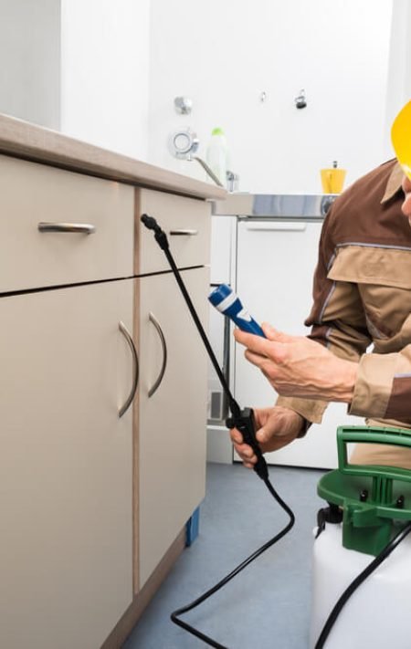 38-2-1.jpg exterminators in modesto ca 38-2-1